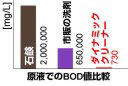_Ci~bNN[i[eXg_BODl