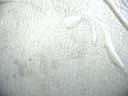 grease_after2 grease_after2