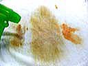 syoyu_brush1 syoyu_brush1